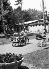 Magyarország,Balaton, Fonyód, Alsóbélatelep, Vasvári Pál utca 13., a felvétel a Dunántúli Kőolajipari Gépgyár (DKG) üdülőjének parkjában készült., 1976, Hajdú György, Best of, kerékpár, tricikli, babakocsi, Traubisoda, üdülőhely, Coca-Cola, Fortepan #275140