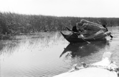 Iraq, Mezopotámiai mocsarak, más néven Iraki mocsarak., 1979, Hajdú György, reed, paddling, boat, Fortepan #275215