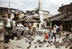 Bosnia and Herzegovina, Sarajevo, Bascarsija, szemben a Muslihudin Čekrekčija mecset., 1968, Páldi Vince, striped dress, dove, mosque, Fortepan #275256