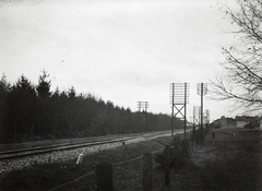 1909, Bojér Tibor, pylon, rails, pine forest, Fortepan #276056