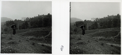 1910, Schoch Frigyes, landscape, umbrella, man, stereophoto, Fortepan #27621