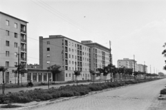 Hungary, Budapest X., az Üllői út házsora a Somfa köz - Száva utca közötti területen., 1960, Hámori Gyula, sapling, blocks, street view, Budapest, Fortepan #276319