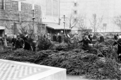 Magyarország, Budapest V., Kálvin tér - Kecskeméti utca sarok, karácsonyfavásár a Városkapu vendéglő kerthelyiségében. Háttérben a Kecskeméti utca. Balra a pesti városfal maradványa., 1957, Hámori Gyula, Budapest, fenyőfa, karácsony, vásár, Fortepan #276347