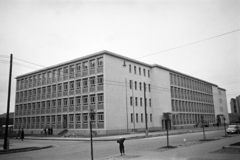 Hungary, Budapest XI., Baranyai utca 16-18., az Általános Iskola (később Lágymányosi Bárdos Lajos Két Tanítási Nyelvű Általános Iskola)., 1960, Hámori Gyula, sapling, flat roof, modern architecture, Budapest, Fortepan #276366