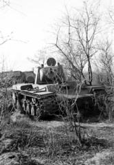 1942, Korner Veronika, Kliment Voroshilov KV-1, lánctalp, harckocsi, járműroncs, Fortepan #276819