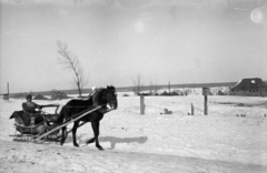 1942, Korner Veronika, lovasszán, Fortepan #276837