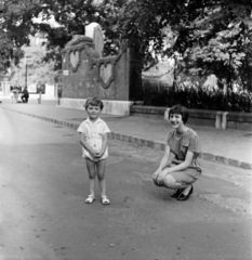 Magyarország, Budapest XIV., Szabó József köz (ekkor utca), a felvétel a Magyar Állami Földtani Intézet mellett készült. Háttérben a Stefánia (Népstadion) út sarkánál Böckh János geológus emléktáblája (Strobl Alajos, 1917) látható., 1961, Németh Tamás, Budapest, Fortepan #276982