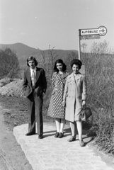 Hungary,Danube Bend, Visegrád, Park üdülő - VOLÁNBUSZ helyközi megállóhely., 1977, Obetkó Miklós, Best of, bus stop, Fortepan #277182