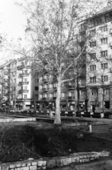 Hungary, Budapest XIII., Jászai Mari tér, háttérben balra a Pozsonyi út - Budai Nagy Antal utca sarkán álló házak láthatók., 1983, Obetkó Miklós, Budapest, Fortepan #277316