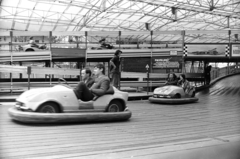 1977, Obetkó Miklós, amusement park, bumper cars, Fortepan #277335