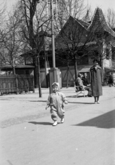 1960, Obetkó Miklós, girl, Fortepan #277409