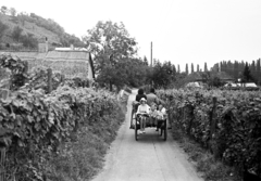 Magyarország,Balaton, Szigliget, Kamonkői utca, a szekér a Belsőhegyi utca felé halad., 1972, Obetkó Miklós, szekér, szőlő, Fortepan #277472