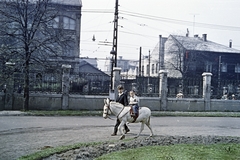 Magyarország, Városliget,Állatkert, Budapest XIV.,Budapest VI., a felvétel a Pálmaház mögött készült. Szemben a Dózsa György út túloldalán a Millenniumi Földalatti Vasút remíze., 1957, Obetkó Miklós, Budapest, színes, kisfiú, szamár, Fortepan #277500