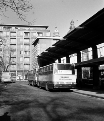 Magyarország, Budapest V., Erzsébet (Engels) tér, VOLÁNBUSZ pályaudvar., 1986, Obetkó Miklós, buszpályaudvar, autóbusz, Budapest, Fortepan #277571