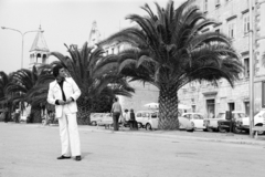 Croatia,Adriatic Sea, Trogir, óváros, Obala bana Berislavića, háttérben balra a Szent Domonkos-templom tornya látszik., 1977, Artfókusz, palm tree, Fortepan #277896