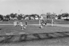 1965, Artfókusz, Fábián József, Best of, Fortepan #278102