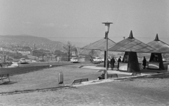 Hungary, Budapest XI., a Citadella alatti déli lejtő, Jubileumi park., 1968, Artfókusz, Budapest, Fortepan #278365