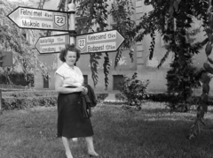 Hungary, Eger, Eszterházy (Szabadság) tér, a felvétel a Széchenyi István (Széchenyi) utca torkolatánál készült., 1960, Artfókusz, road signs, lady, Fortepan #278370