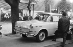 Hungary, Budapest XIV., Skoda 1000 MB személygépkocsi., 1965, Artfókusz, Budapest, Fortepan #278390