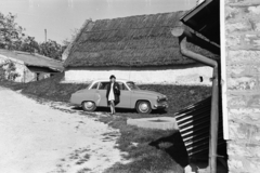 1966, Artfókusz, vehicle, Fortepan #278516