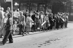 1960, Artfókusz, mass, waiting, bus stop, Fortepan #278809