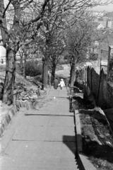 1960, Artfókusz, spring, plan view, flight of stairs, Fortepan #279188