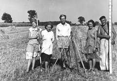 1951, Kőrös László, falu, csoportkép, nők, férfiak, mérnök, nyár, munka, kukorica, földmérés, szintező, mérőléc, tarló, kitűzőrúd, figuráns, Fortepan #27921