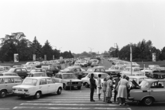 Magyarország, Ferihegyi (ma Liszt Ferenc) repülőtér, Budapest XVIII., parkoló a forgalmi épület és a Ferihegyi repülőtérre vezető út között., 1980, Artfókusz, Fábián József, gyalogátkelő, Budapest, Fortepan #279380