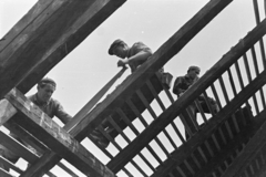 1960, Artfókusz, construction, saw, dismantling the roof , Fortepan #279610