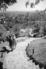 1965, Artfókusz, bench, stairs, view, pedestrian, Fortepan #279714