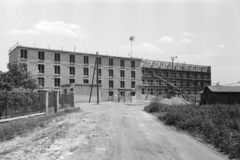 1961, Artfókusz, Fábián József, Fortepan #280045