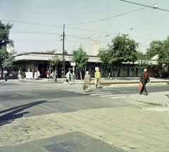 Magyarország, Budapest XXI., Karácsony Sándor utca - II. Rákóczi Ferenc út sarok, ABC Áruház., 1981, Artfókusz, Fábián József, gyalogátkelő, Budapest, Fortepan #280111