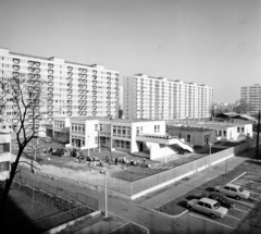 Magyarország, Budapest XIV., Ond vezér sétány, előtérben a Napköziotthonos Óvoda épülete, később a Fővárosi Pedagógiai Szakszolgálat 14. kerületi Tagintézménye, oktatóhely., 1975, Artfókusz, Fábián József, Budapest, Fortepan #280222