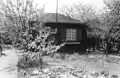 Hungary, Budapest XVIII., 1958, Umann Kornél, garden, wooden cottage, Budapest, Fortepan #28030