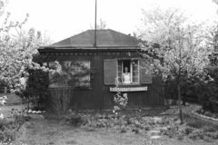 Hungary, Budapest XVIII., 1958, Umann Kornél, garden, wooden cottage, Budapest, Fortepan #28045