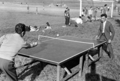 1960, Artfókusz, table tennis table, Fortepan #280856