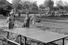 1960, Artfókusz, table tennis table, tipper, Fortepan #280858