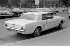 1969, Artfókusz, Ford-brand, automobile, Fortepan #280935