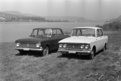 Hungary,Danube Bend, Visegrád, Duna-part, a túlparton balra a nagymarosi nyárfasor., 1968, Artfókusz, number plate, Fortepan #281038