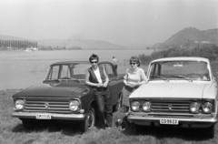 Hungary,Danube Bend, Visegrád, Duna-part, háttérben a Várhegy a Fellegvárral. A túlparton balra a nagymarosi nyárfasor., 1968, Artfókusz, number plate, Fortepan #281040