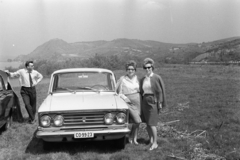 Hungary,Danube Bend, Visegrád, Duna-part, háttérben balra a Várhegy a Fellegvárral., 1968, Artfókusz, number plate, Fortepan #281041