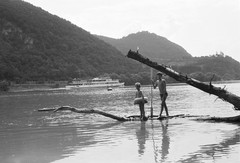 Magyarország, Visegrád, a Szentendrei sziget csúcsa felől. A vízen a Hunyadi hajó., 1974, Umann Kornél, hajó, mentőöv, Hunyadi hajó, Fortepan #28216