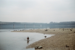 Magyarország, Budapest III., az Újpesti vasúti híd, a Hajógyári-sziget északi csúcsától., 1988, Umann Kornél, vasút, színes, híd, kutya, vasúti híd, vízpart, Budapest, Fortepan #28256