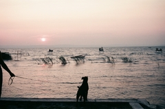 Magyarország,Balaton, Siófok, Balatonszabadi-Sóstó., 1989, Umann Kornél, színes, kutya, víztükör, csónak, stég, vízpart, naplemente, póráz, kutyasétáltatás, Balaton, Fortepan #28270