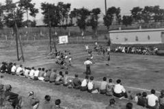 1956, Bihari Erzsébet-Németh Tamás Lajos, pitch, basketball, Fortepan #284426