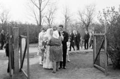 1968, Domokos József, wedding ceremony, tradition, Fortepan #284761