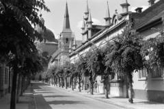 Hungary, Vác, Gasparik Kázmér (Hámán Kató) utca, a 8-as szám alatti sok tornyos épület után a Karolina kápolna látható. Távolabb a Schuszter Konstantin (Konstantin) téren a Nagyboldogasszony-székesegyház., 1968, Domokos József, Fortepan #284805