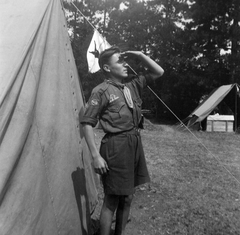 1936, Fortepan, scouting, looking into the distance, Fortepan #28509