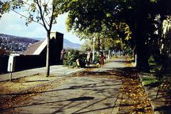 Magyarország, budai Vár, Budapest I., Tóth Árpád sétány, balra a Lovas útra (Sziklai Sándor utca) vezető Fedett lépcső., 1980, Gara Andor, Budapest, Fortepan #285107