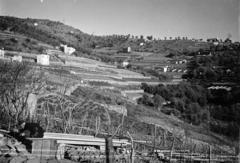 Italy, San Remo, Strada Magnan Collabella., 1930, Gara Andor, Fortepan #285153